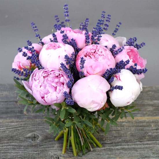 Peonies with Lavender