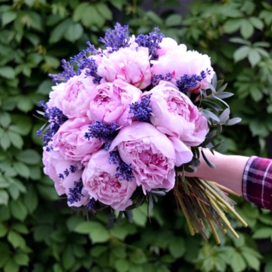 Peonies with Lavender